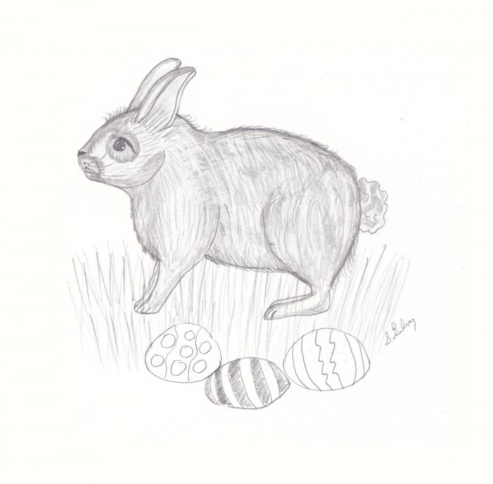 Easter bunny by Sally Gilroy
